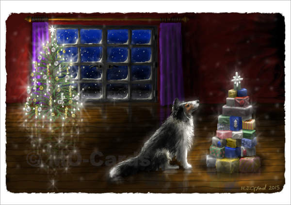 Dog looks at pile of presents in room